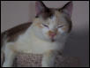 Sweet Maggie
