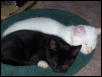 Sleepy time