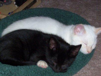 Sleepy time