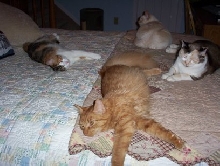 Living the hard life