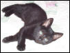Little Simon