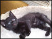 Simon at 3 weeks old