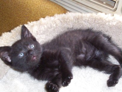 Simon at 3 weeks old