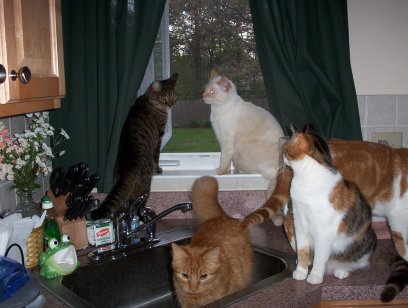 SOME of the crew...