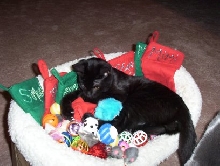 Oh Boy! Santa came!