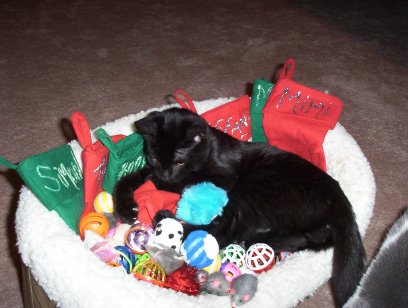 Oh Boy! Santa came!