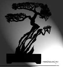 treedimensions