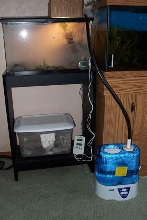 Tank setup_fogging