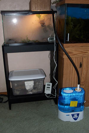 Tank setup_fogging