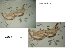before and after