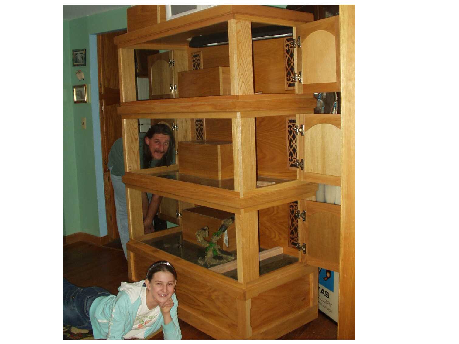 finished dragon cages