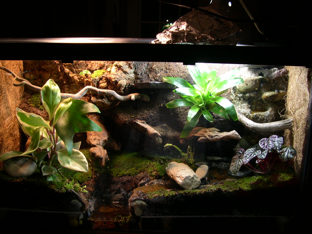 Whitey's tank 1