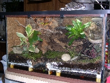 Whitey's tank 2