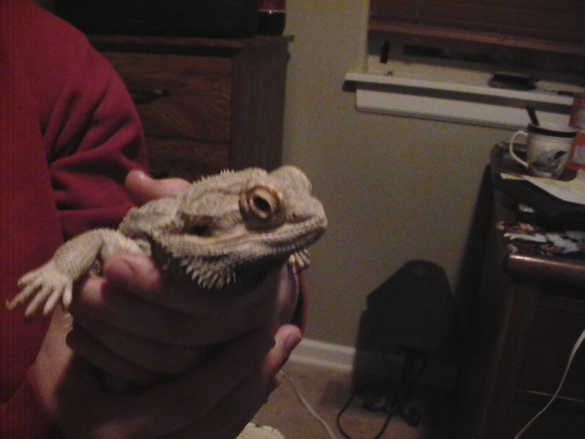 weird eyes