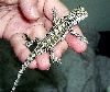 Isn't he just so cute?  =)