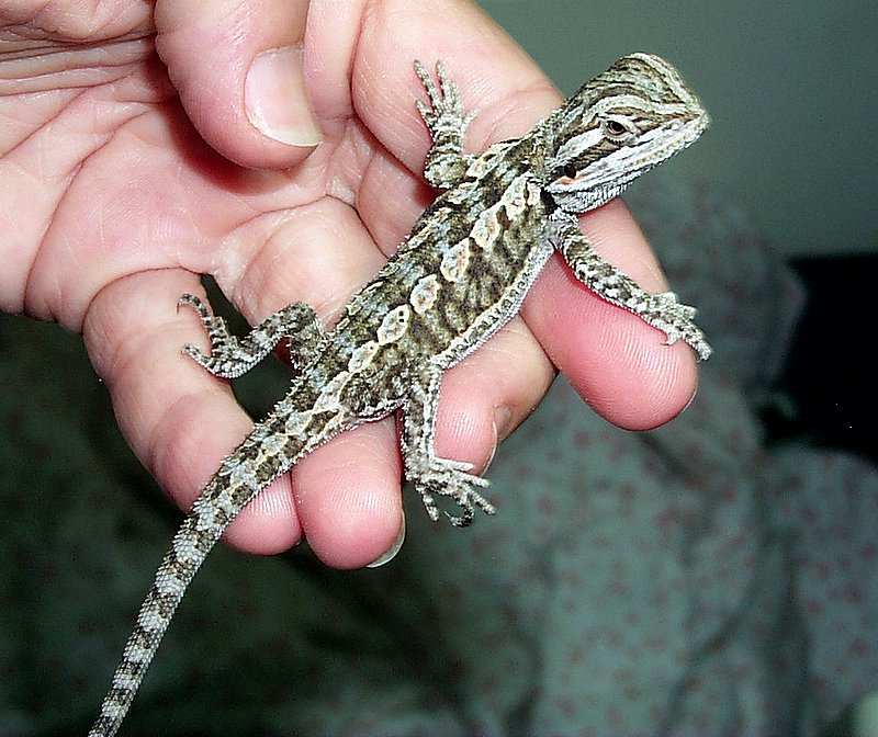 Isn't he just so cute?  =)