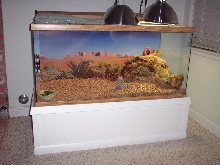 Bob's Tank