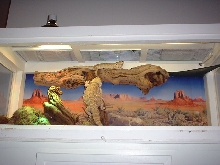Tank 2