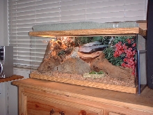 Temporary Juvie Tank