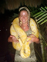 albino python mexico 2
