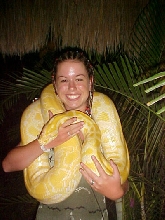 albino python Mexico 3