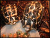 Spider Torts for Sale