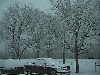 snow