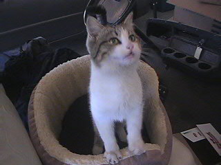 Hobbes
