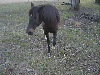 Bianca left side
