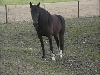 Bianca on hill