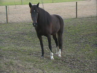 Bianca on hill