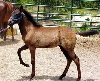 Tido's baby