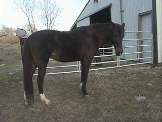 Bianca right side