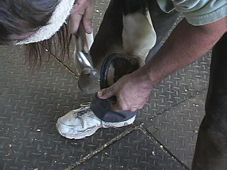 Bianca - shoe