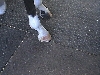 Bianca - shoe #2