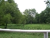 Pasture land