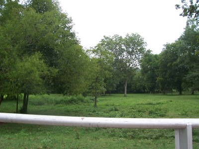 Pasture land