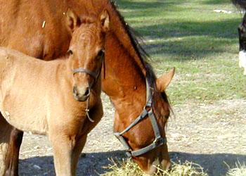 Joya & baby