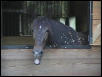 Bianca - yawning