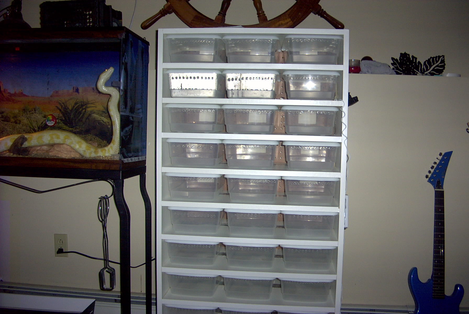 My first rack