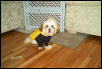 Chloe in her raincoat