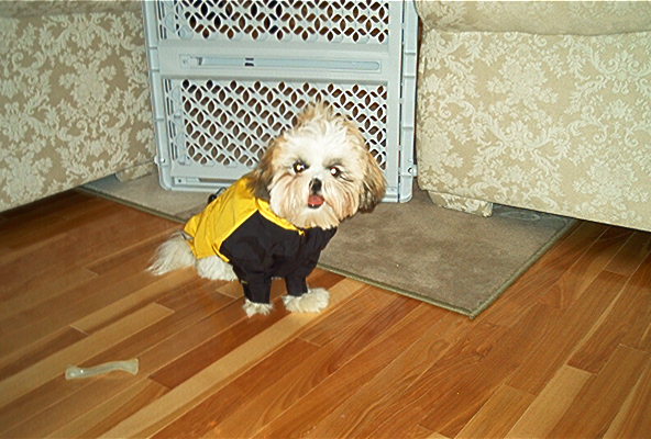 Chloe in her raincoat