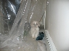 Chloe doesn't like paint