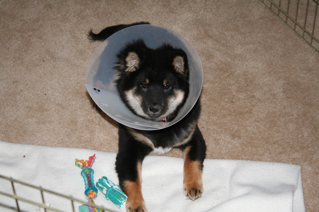 Kaia with his cone