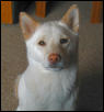 kiko girl