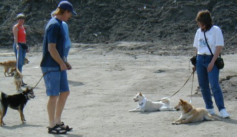 meeting friends