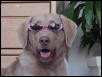 His future is so bright he's gotta wear shades!
