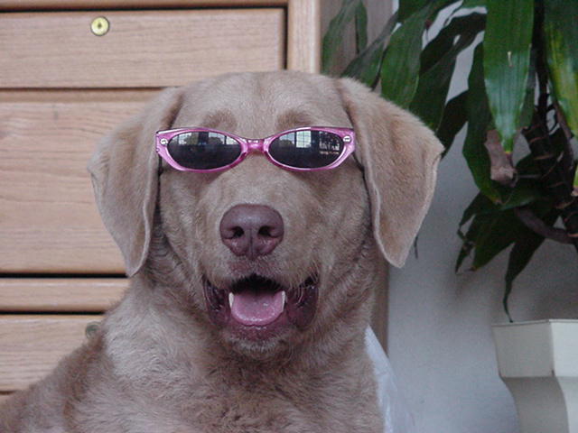 His future is so bright he's gotta wear shades!