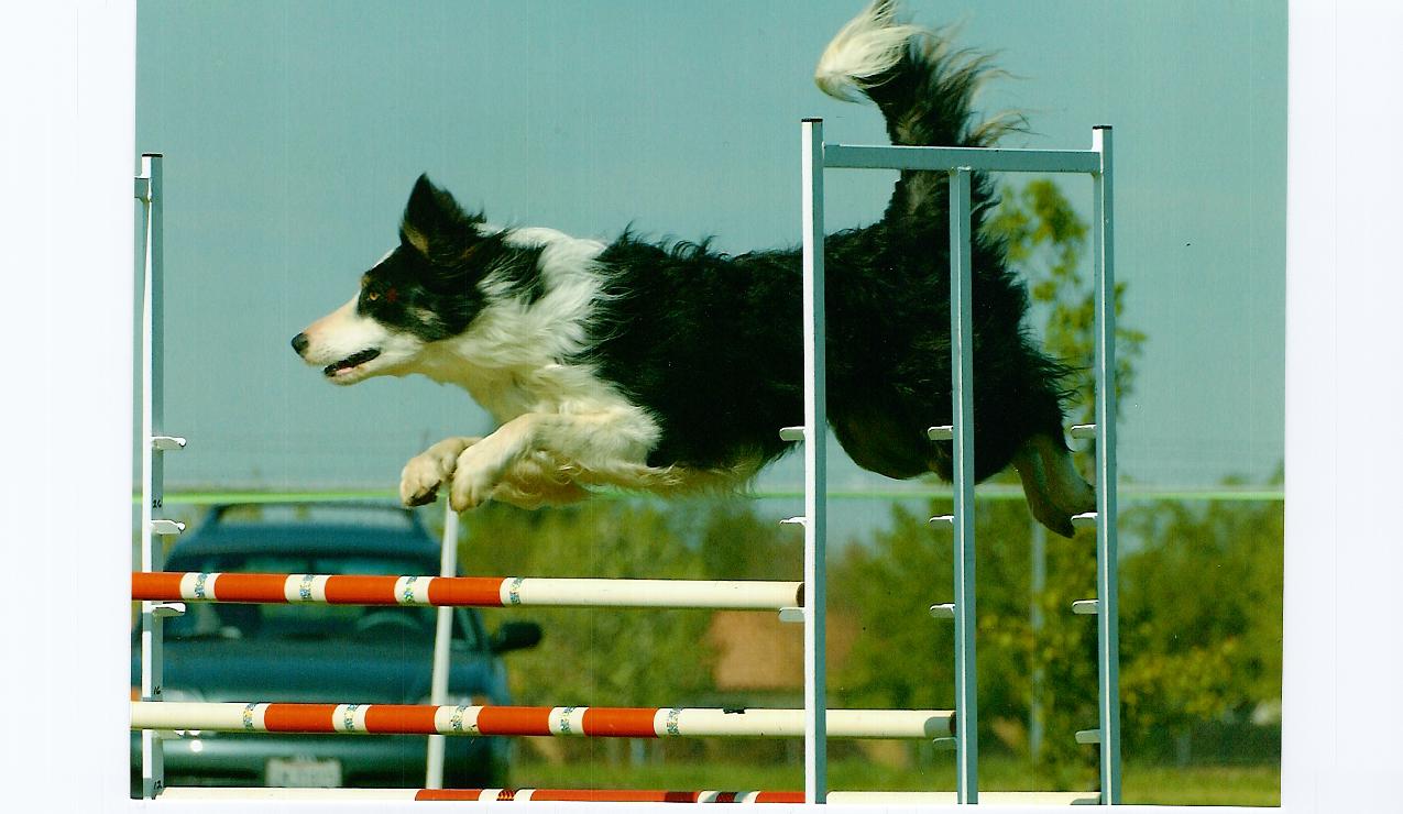 Reata flyin high