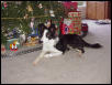 Reata at Christmas
